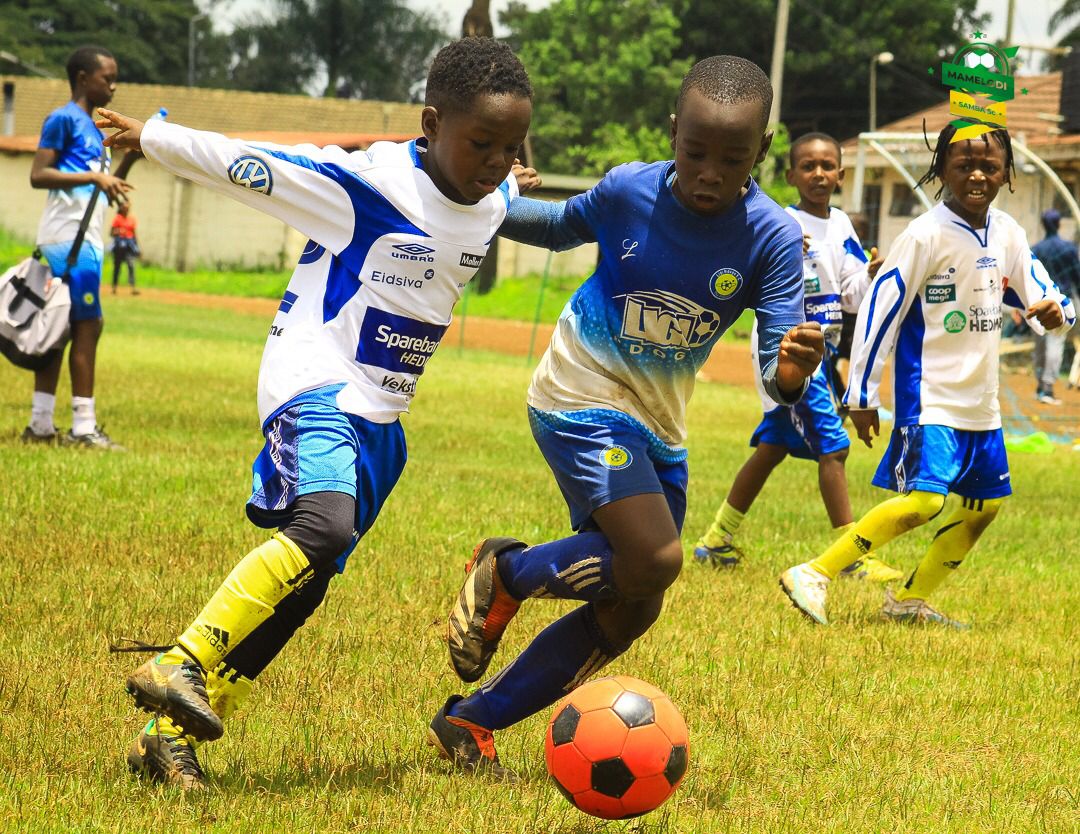 WhatsApp Image 2026 02 18 At 18.02.14 2