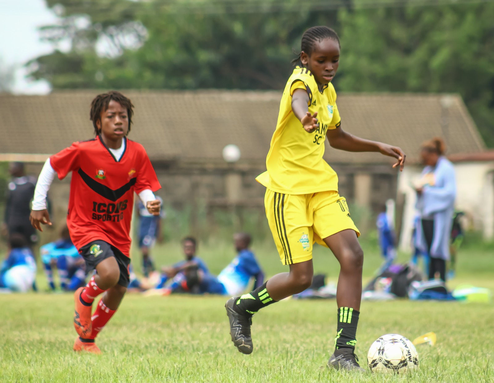 whatsapp image 2026 03 17 at 16.02.19 (1)