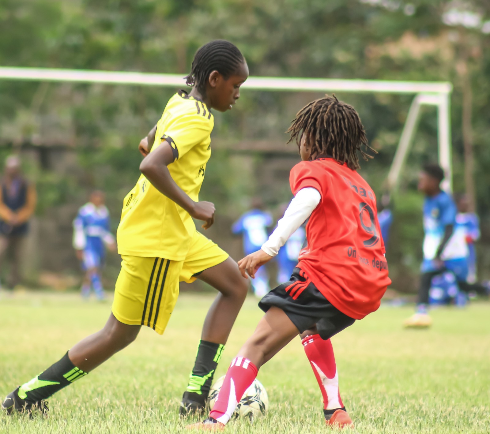 whatsapp image 2026 03 17 at 16.02.19 (2)