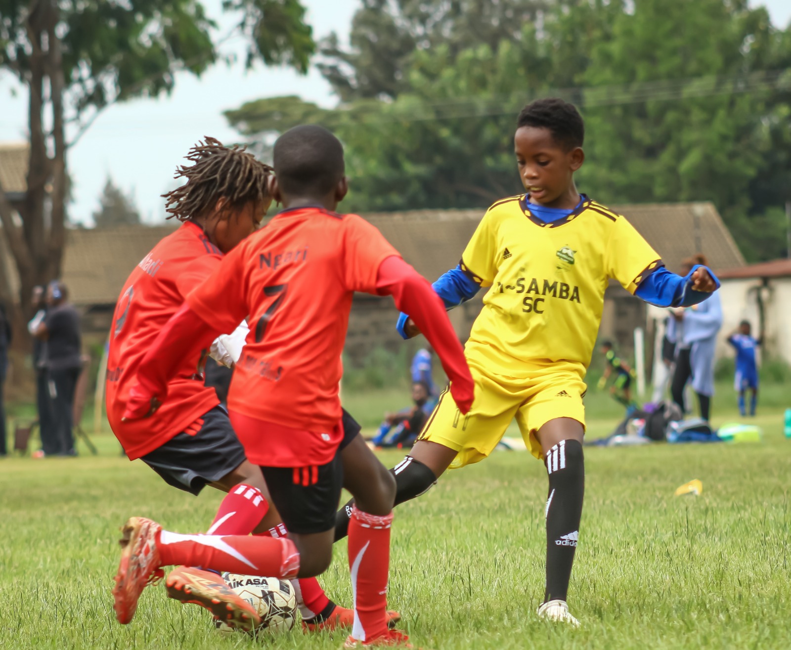 whatsapp image 2026 03 17 at 16.02.19