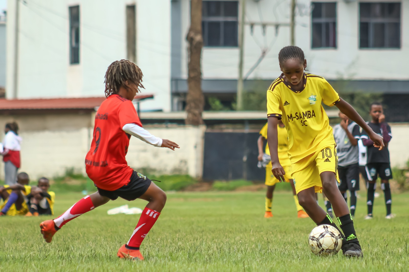 whatsapp image 2026 03 17 at 16.02.22 (1)