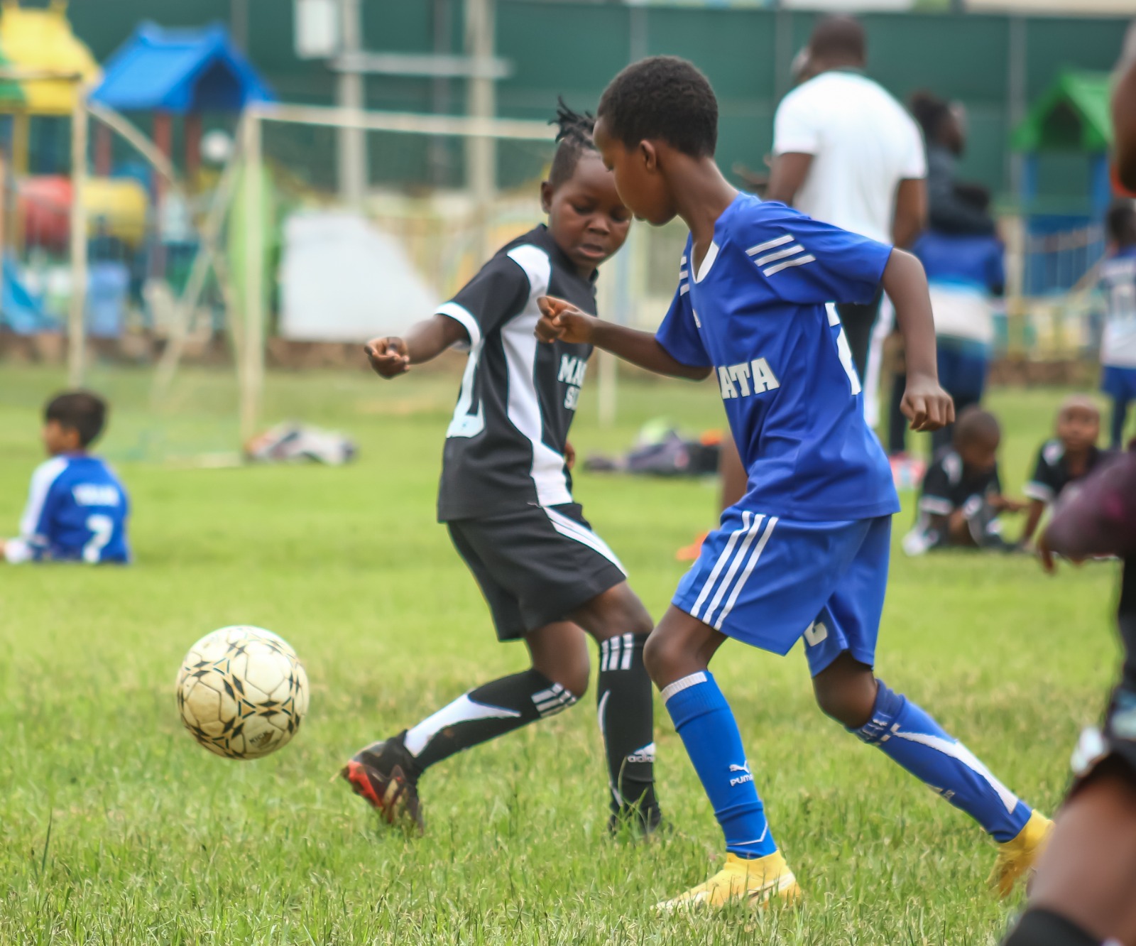 whatsapp image 2026 03 17 at 16.02.23